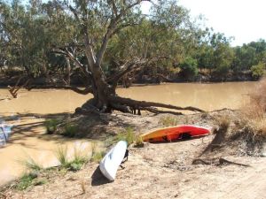 Red gums and canoes on the Paroo River